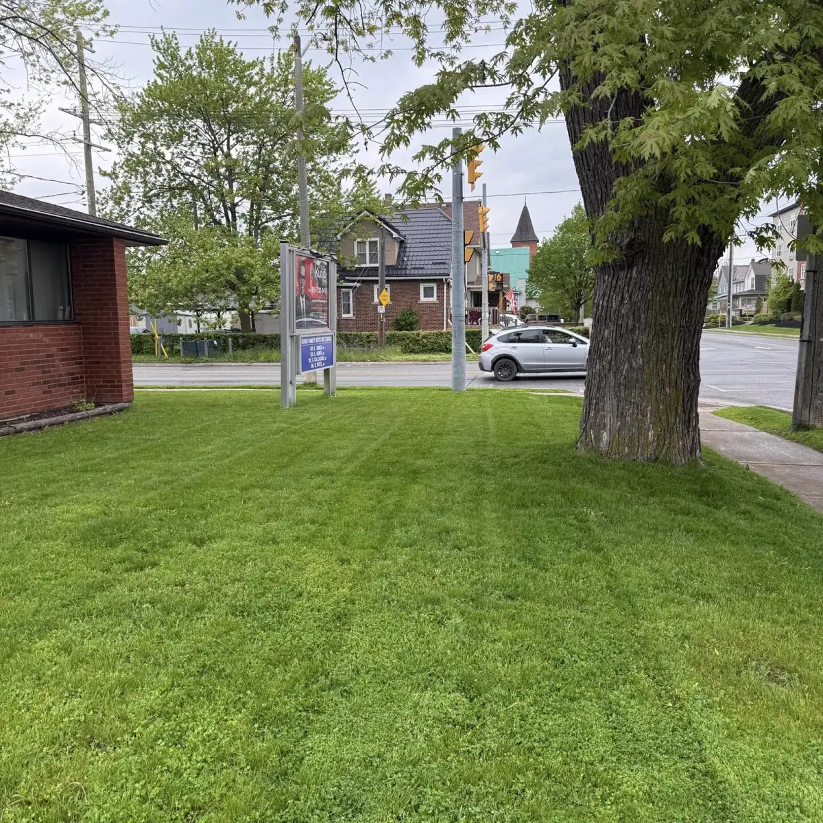Striped lawn beside a residential road